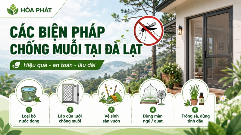 Lựa chọn cửa lưới chống muỗi tại Hòa Phát